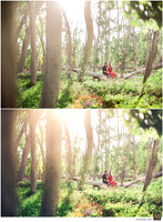 Basic Edit vs Signature Edit