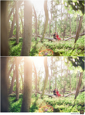 Basic Edit vs Signature Edit