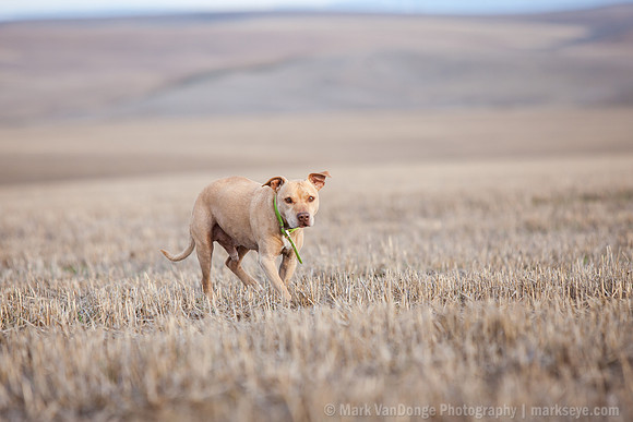 2014_E_MeganJeff_0024