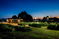 2025_VisitWW_06_Ag_KlickersTrees_0001