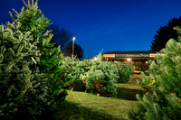 2025_VisitWW_06_Ag_KlickersTrees_0003