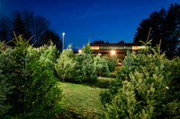 2025_VisitWW_06_Ag_KlickersTrees_0002