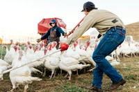 2025_VisitWW_06_Ag_TailfeatherFarm_0004