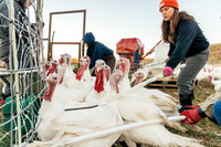 2025_VisitWW_06_Ag_TailfeatherFarm_0005