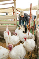 2025_VisitWW_06_Ag_TailfeatherFarm_0003