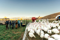 2025_VisitWW_06_Ag_TailfeatherFarm_0001