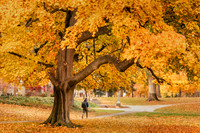 2025_VisitWW_06_CP_WWUFall_0002