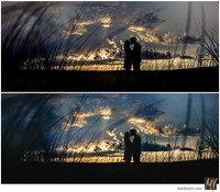 Basic Edit vs Signature Edit