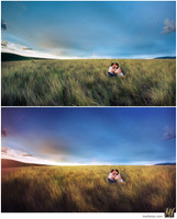 Basic Edit vs Signature Edit