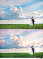 Basic Edit vs Signature Edit