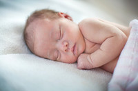 2012Portrait_Michels_0014
