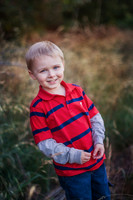 2012_Postlewait_0007