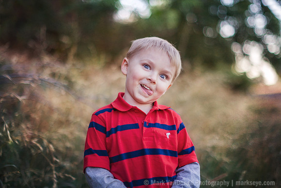 2012_Postlewait_0008