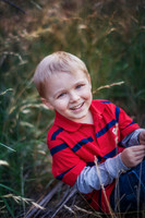 2012_Postlewait_0010