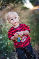 2012_Postlewait_0011