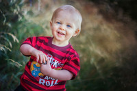 2012_Postlewait_0012