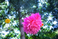 2012_VictorHelen_0001