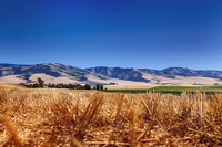 2012_VictorHelen_0004