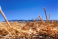 2012_VictorHelen_0005