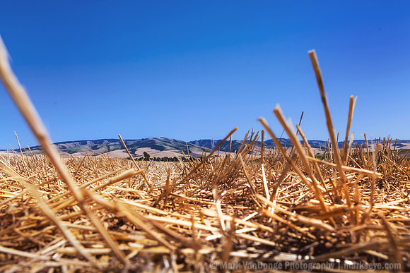2012_VictorHelen_0005