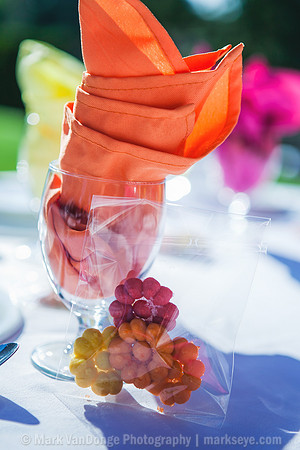 2012_VictorHelen_0274