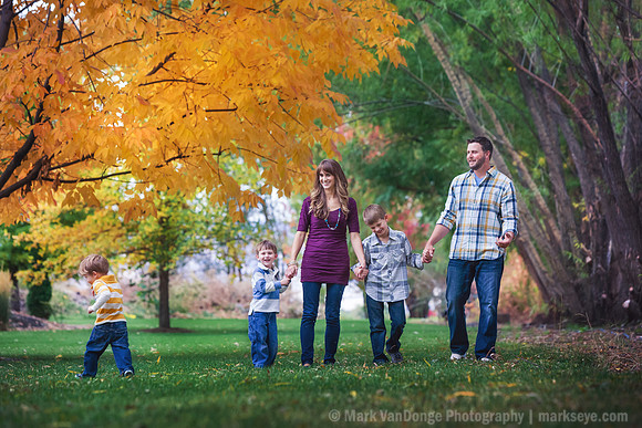 2012_Brown_0002