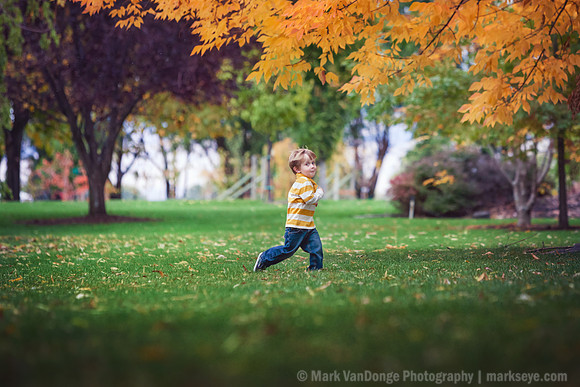2012_Brown_0003