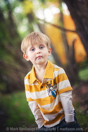 2012_Brown_0018