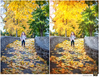 Basic Edit vs Signature Edit