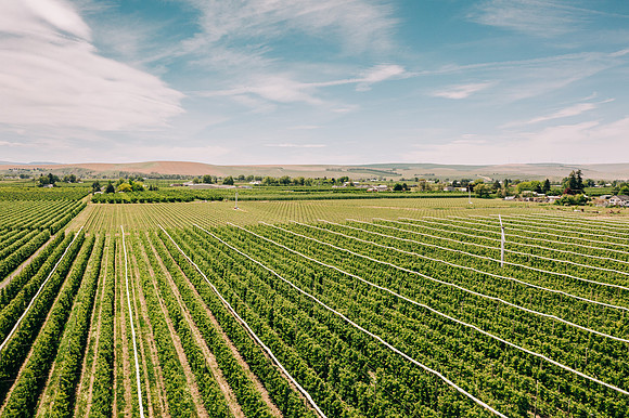 2025_VisitWW_01_Ag_MF Orchards_0001