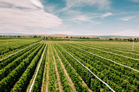 2025_VisitWW_01_Ag_MF Orchards_0002