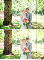 Basic Edit vs Signature Edit