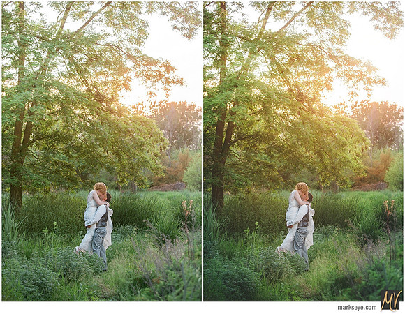 Basic Edit vs Signature Edit