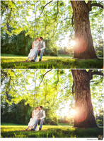 Basic Edit vs Signature Edit