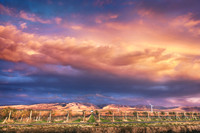 2013_GreatVineyardSunset_Cut1_0037 edit 2 print