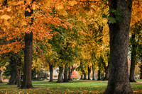 2021_Cloudy_in_the_Park_0204 PS 1