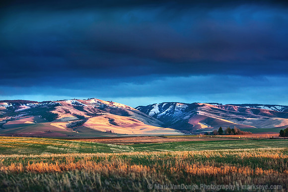 2012_FieldCanyonLight_0009 print