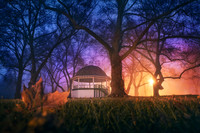 2012_TwilightParkFog_Cut1_0009 edit 2 crop 1 print light