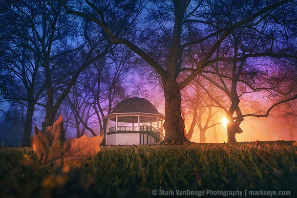 2012_TwilightParkFog_Cut1_0009 edit 2 crop 1 print light