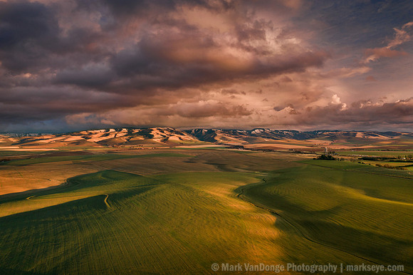 2020_CottonwoodFieldSunset_0008 PS 2
