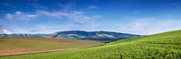 2015_SpringBlues_0184 PS 1 15x45 print
