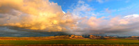 IMG_3627 - pan wide from the road all alt 1 12x36 2 alt 2