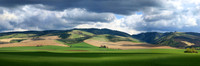 IMG_9962 pan wide alt4 12x36 2_LR
