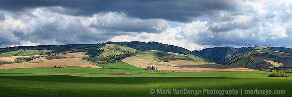 IMG_9962 pan wide alt4 12x36 2_LR