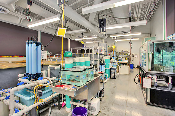 2022_WWCC_WallaWalla_Interiors_0008