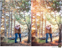 Basic Edit vs Signature Edit