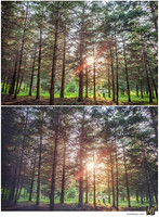 Basic Edit vs Signature Edit