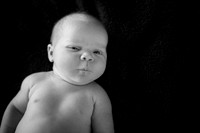 2012Portrait_Anderson_0004bw