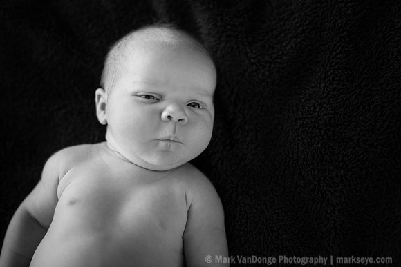 2012Portrait_Anderson_0004bw