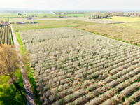 2026_VisitWW_Spring_AppleBlossoms_0016